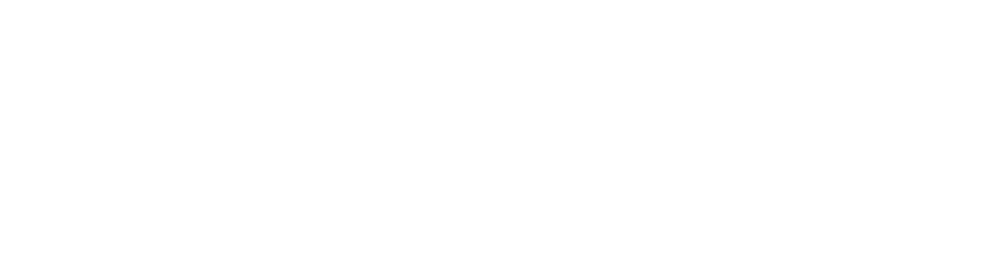 SELECTION PROCESS